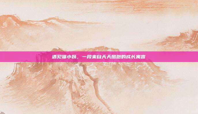 遇见猫小妖，一段来自天天酷跑的成长寓言