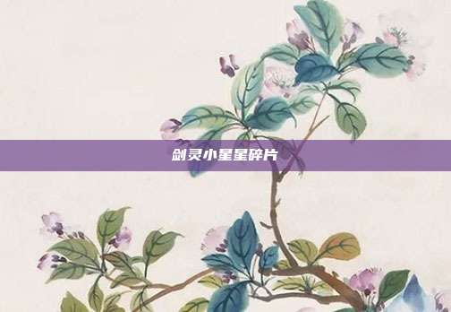 剑灵小星星碎片