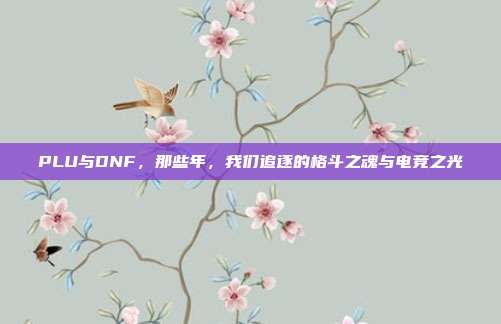 PLU与DNF,那些年,我们追逐的格斗之魂与电竞之光