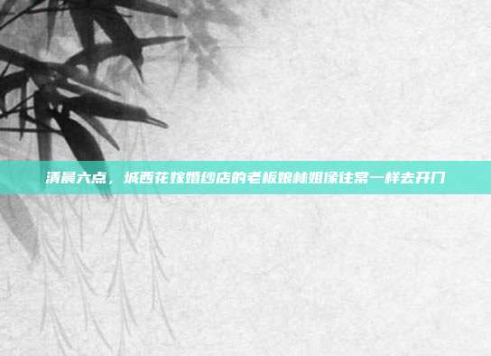 清晨六点，城西花嫁婚纱店的老板娘林姐像往常一样去开门