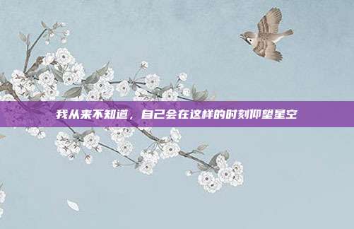 我从来不知道,自己会在这样的时刻仰望星空