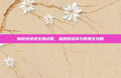 畅游绝地求生测试服，加速器选择与使用全攻略