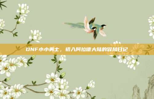 DNF小小勇士，初入阿拉德大陆的冒险日记