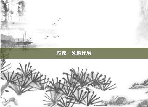 万无一失的计划