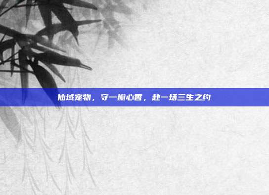 仙域宠物,守一瓣心香,赴一场三生之约