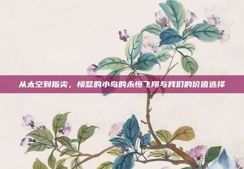 从太空到指尖，愤怒的小鸟的永恒飞翔与我们的价值选择