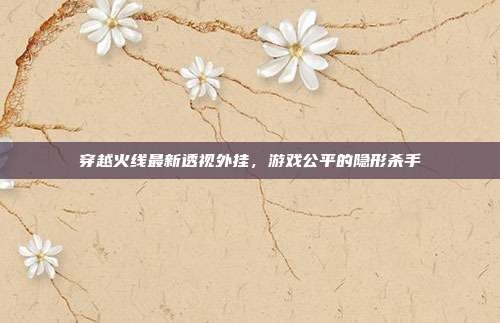穿越火线最新透视外挂,游戏公平的隐形杀手