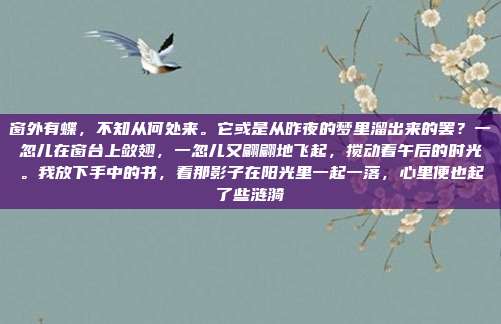 窗外有蝶，不知从何处来。它或是从昨夜的梦里溜出来的罢？一忽儿在窗台上敛翅，一忽儿又翩翩地飞起，搅动着午后的时光。我放下手中的书，看那影子在阳光里一起一落，心里便也起了些涟漪