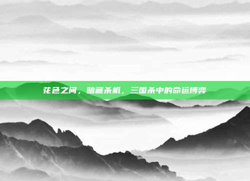 花色之间,暗藏杀机,三国杀中的命运博弈