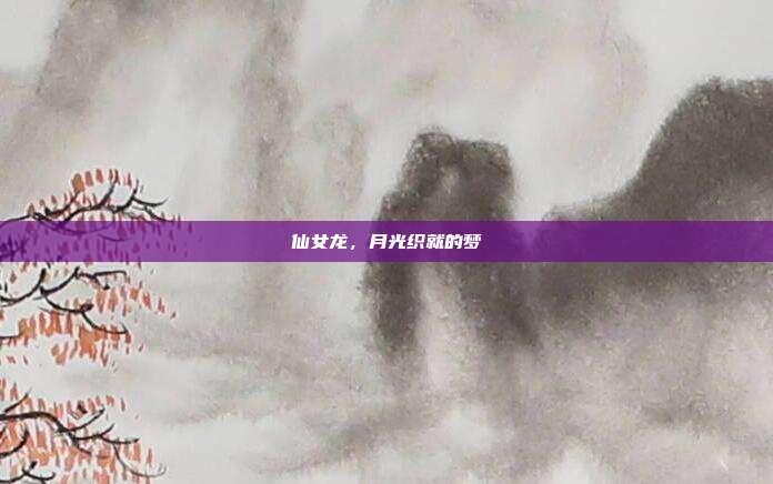 仙女龙，月光织就的梦