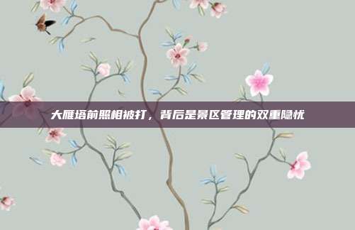 大雁塔前照相被打，背后是景区管理的双重隐忧