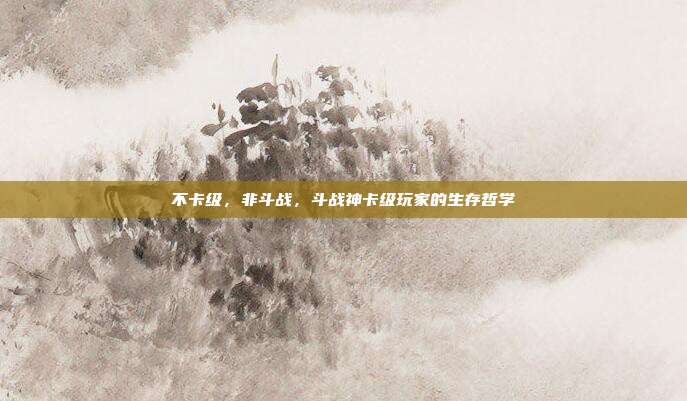 不卡级,非斗战,斗战神卡级玩家的生存哲学