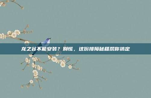 龙之谷不能安装？别慌，这份排障秘籍帮你搞定