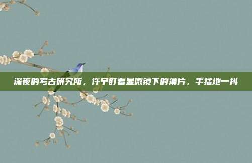 深夜的考古研究所，许宁盯着显微镜下的薄片，手猛地一抖
