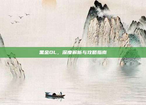 黑金OL,深度解析与攻略指南