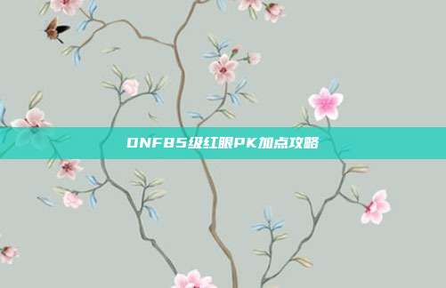 DNF85级红眼PK加点攻略