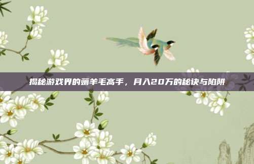 揭秘游戏界的薅羊毛高手,月入20万的秘诀与陷阱