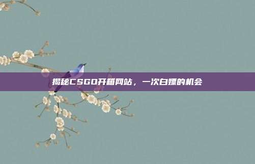 揭秘CSGO开箱网站,一次白嫖的机会