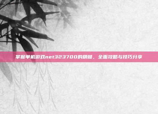 掌握单机游戏net323700的精髓，全面攻略与技巧分享