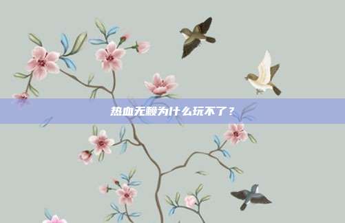 热血无赖为什么玩不了?