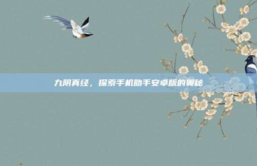 九阴真经,探索手机助手安卓版的奥秘