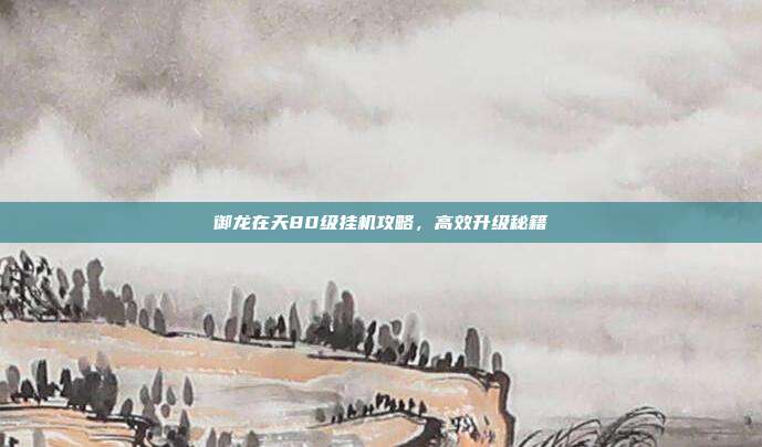 御龙在天80级挂机攻略,高效升级秘籍