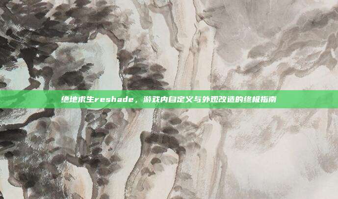 绝地求生reshade,游戏内自定义与外观改造的终极指南