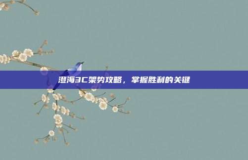 澄海3C架势攻略,掌握胜利的关键