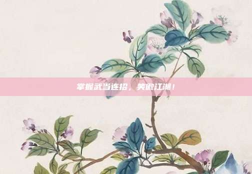 掌握武当连招,笑傲江湖!