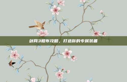 剑网3粗布攻略，打造你的专属装备