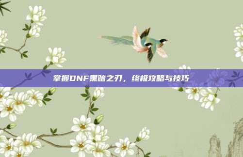 掌握DNF黑暗之刃,终极攻略与技巧