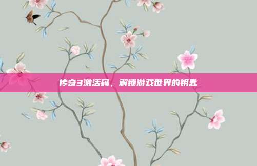 传奇3激活码，解锁游戏世界的钥匙