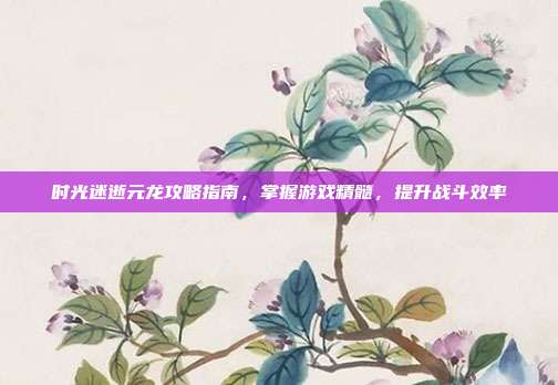 时光迷逝元龙攻略指南,掌握游戏精髓,提升战斗效率