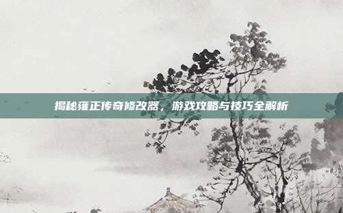 揭秘雍正传奇修改器,游戏攻略与技巧全解析