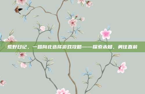 荒野日记,一路向北选择游戏攻略——探索未知,勇往直前