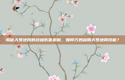 揭秘天罗地网的终极伤害机制,如何巧妙利用天罗地网技能?