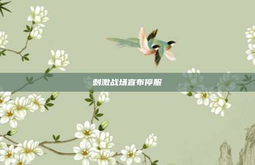 刺激战场宣布停服