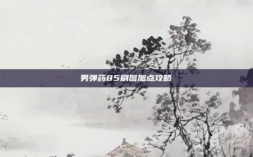 男弹药85刷图加点攻略
