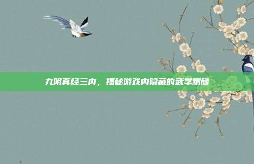 九阴真经三内,揭秘游戏内隐藏的武学精髓