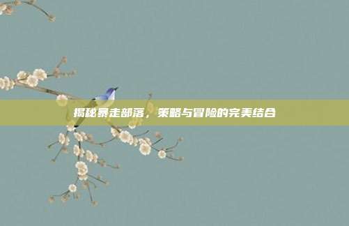揭秘暴走部落，策略与冒险的完美结合