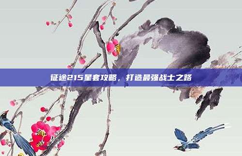 征途215星套攻略,打造最强战士之路