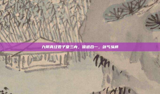九阴真经君子堂三内，儒道合一，剑气纵横