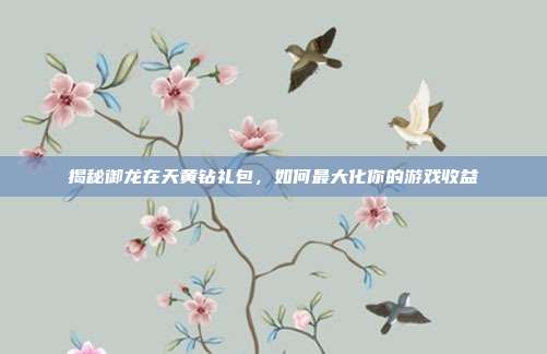 揭秘御龙在天黄钻礼包,如何最大化你的游戏收益
