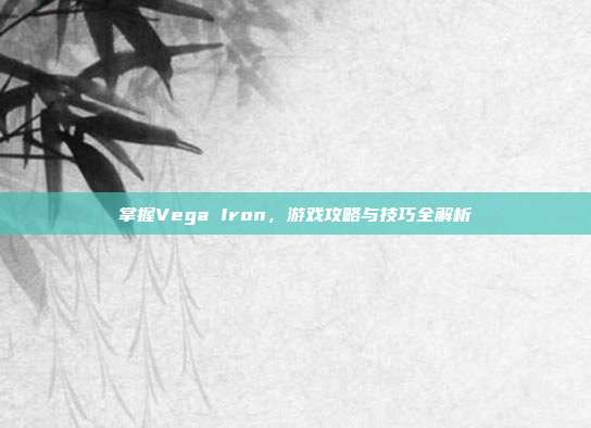 掌握Vega Iron,游戏攻略与技巧全解析