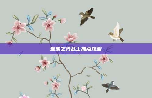 地城之光战士加点攻略