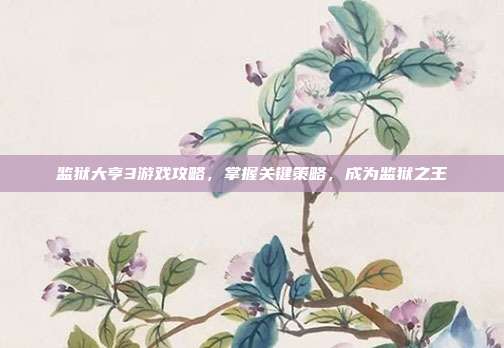 监狱大亨3游戏攻略，掌握关键策略，成为监狱之王