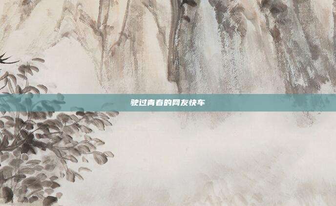 驶过青春的网友快车