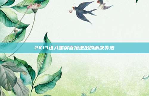 2K13进入黑屏直接退出的解决办法