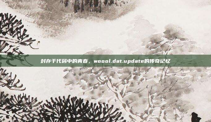 封存于代码中的青春，woool.dat.update的传奇记忆