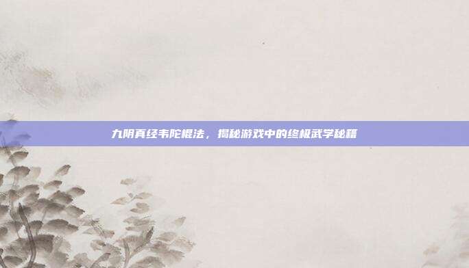 九阴真经韦陀棍法,揭秘游戏中的终极武学秘籍
